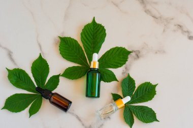 Pipetli serum cam şişeler ve beyaz arka planda güzel yeşil yapraklar. Doğal Organik Spa Kozmetik Konsepti. Üst görünüm