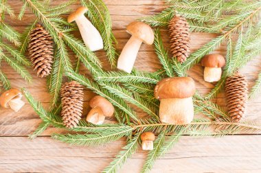 Beyaz mantar ve ladin dallarından oluşan bir kompozisyon. Köy masasında koniler var.