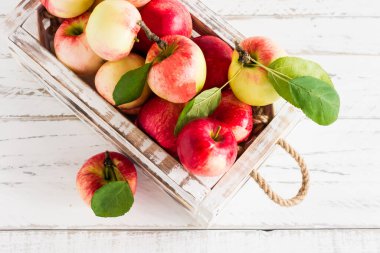 Sonbahar mevsimlik elmaları tahta bir arka planda beyaz bir kutuda