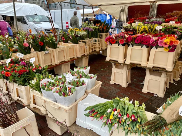 Çiçek Pazarı, Rotterdam, Hollanda, Mart 2021 