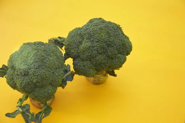 Primo Piano Broccoli Verdi Fondo Giallo — Foto Stock
