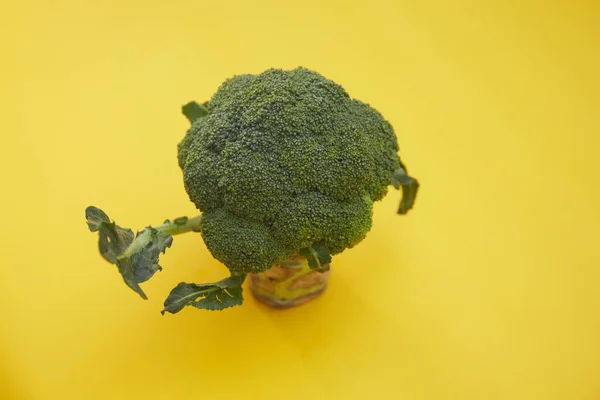 Primo Piano Broccoli Verdi Fondo Giallo — Foto Stock