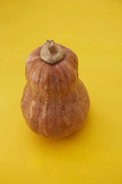 Sarı arka planda kahverengi bir balkabağının yakın plan görüntüsü.