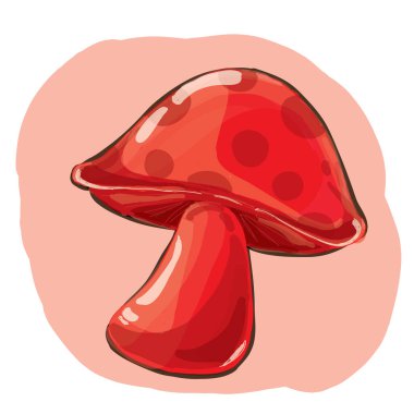 Kırmızı Amanita muscaria mantarı