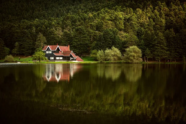 Türkiye 'de ormanlık alanda göl kenarında çok hoş bir konuk evi (Golcuk)
