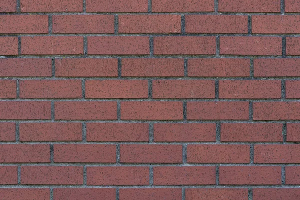 Tuğladan yapılmış duvar güzel bir zemin hazırladı.