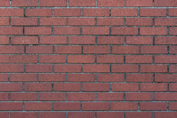 Tuğladan yapılmış duvar güzel bir zemin hazırladı.