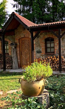 Bir kulübe, yeşil bir ormanda bir avcının evi..