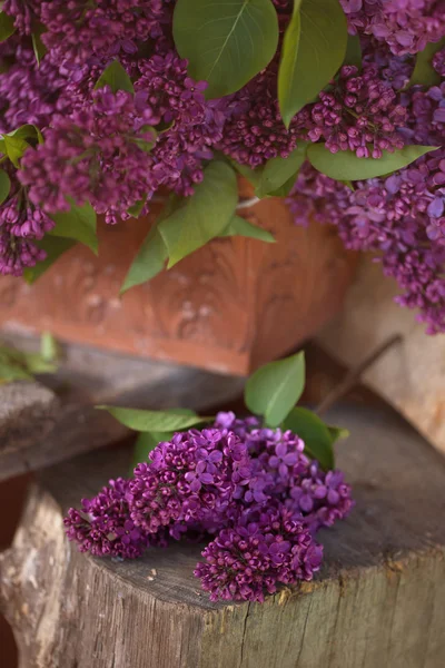 Un bouquet di lilla, fiori lilla su bacino di legno - Maggio — Foto Stock