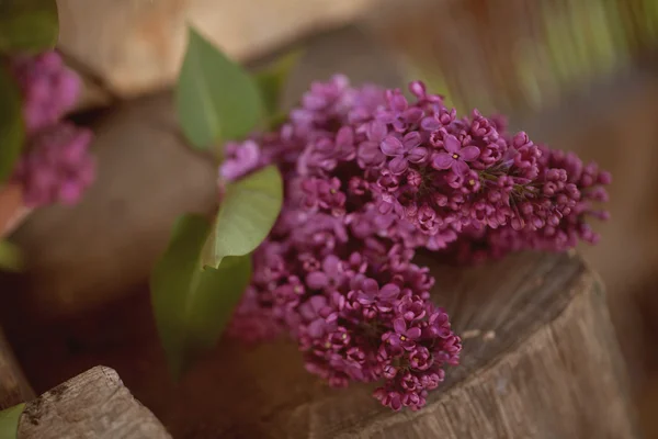 Un bouquet di lilla, fiori lilla su bacino di legno - Maggio — Foto Stock