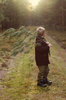 güzel bir çocuk Noel ağacı ormanda holding