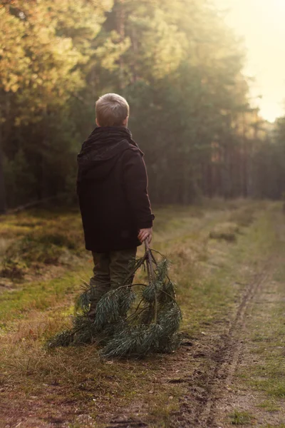 Beautiful little boy holding christmas tree in forest — Stock Photo, Image