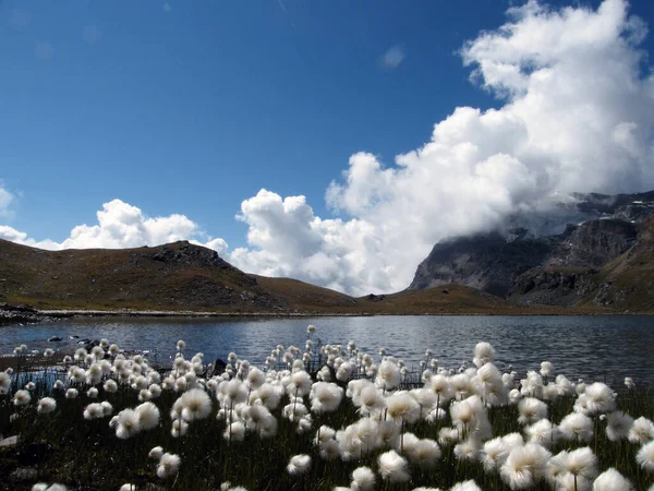 Vista Pequeño Lago Alpino 2700 Metros Altura Con Picos Montaña —  Fotos de Stock