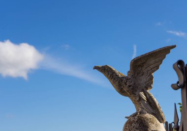 Taştan bir kuş yoğun mavi bir gökyüzünde uçar, Sassetta 'da güzel güneşli bir şubat günü (Livorno)