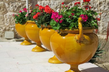 Grottaglie (Puglia) şatosunun avlusunda dört büyük vazo farklı kırmızı ve pembe renkte sardunya bitkileriyle hizalanmıştı.