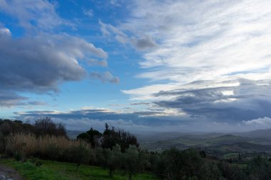 Mavi kış gökyüzünde bulutlar Cecina nehir vadisinde ve ön planda bir zeytin ağacı fidanı.