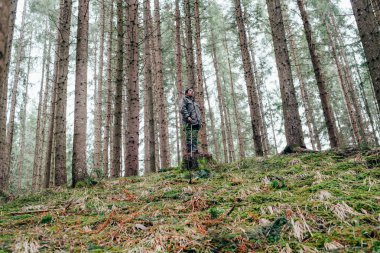 Ormanda yürüyüş yapan bir adam.