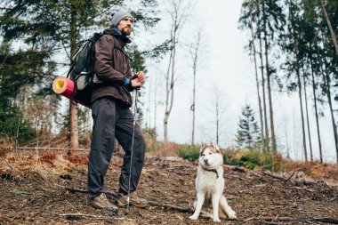erkek uzun yürüyüşe çıkan kimse ile dağlarda hiking Sibirya husky köpek