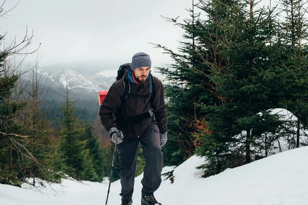 Kaukasische Männchen wandern in den Bergen — Stockfoto