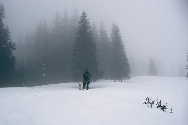 Человек, путешествующий в снежных горах с собакой-лабрадором — стоковое фото