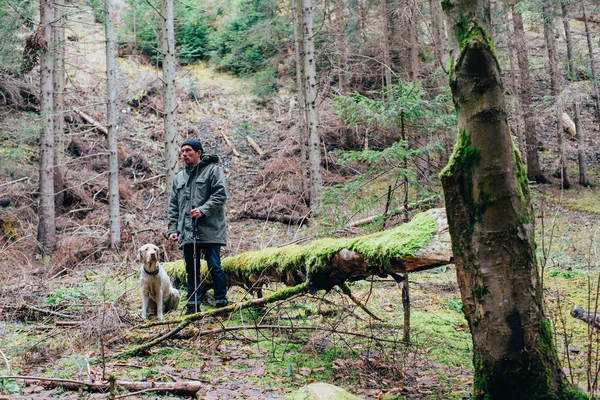Homem caminhando na floresta com cão labrador — Fotografia de Stock