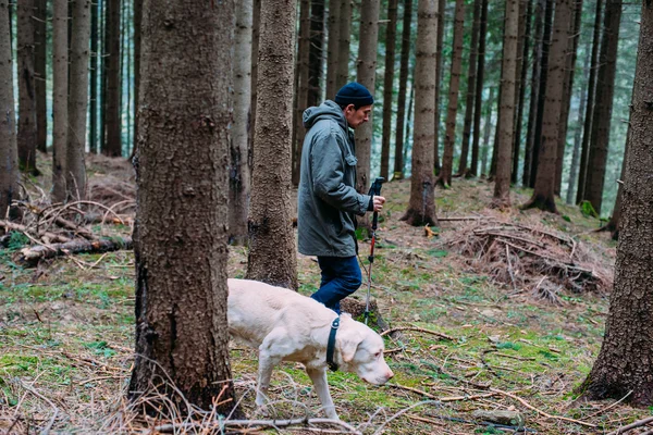 Man wandelen in het bos met labrador hond — Stockfoto