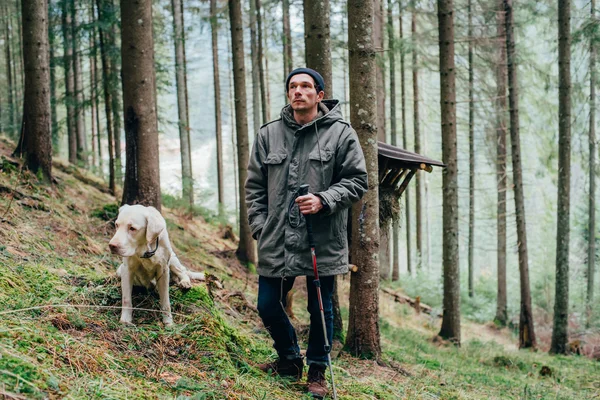 Человек, гуляющий в лесу с собакой-лабрадором — стоковое фото