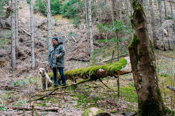 Homem caminhando na floresta com cão labrador — Fotografia de Stock