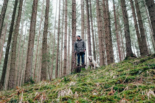 Homem caminhando na floresta com cão labrador — Fotografia de Stock