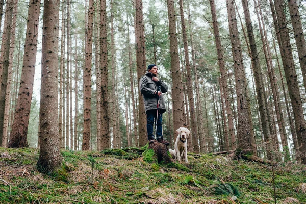 Hombre senderismo en el bosque con perro labrador — Foto de Stock