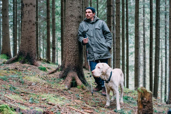 Homem caminhando na floresta com cão labrador — Fotografia de Stock