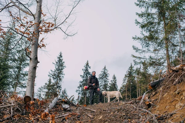 Homem caminhadas em madeira com cão labrador — Fotografia de Stock