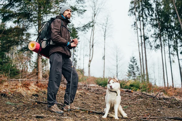 山でハイキング シベリアン ハスキー犬と男性ハイカー — ストック写真