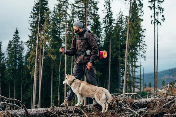 Caminhante com cão husky siberiano olhando para a bela vista nas montanhas — Fotografia de Stock