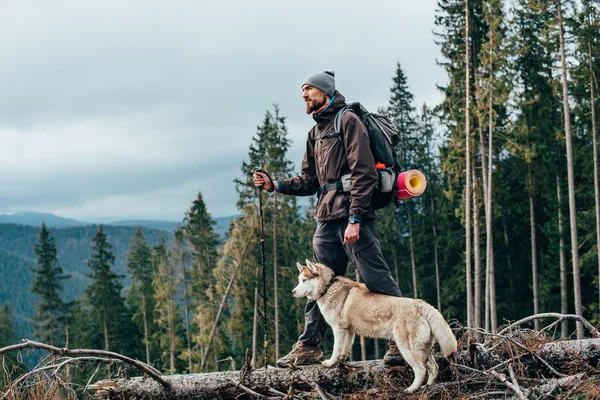 Турист с сибирской хаски собака глядя на прекрасный вид в горах — стоковое фото