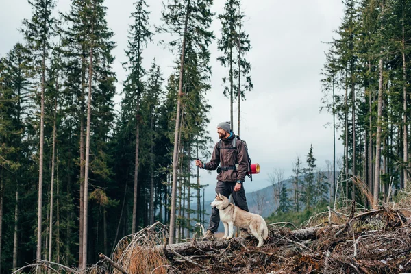 Caminhante com cão husky siberiano olhando para a bela vista nas montanhas — Fotografia de Stock