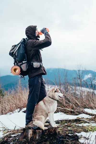 Hiker with siberian husky dog looking at beautiful view in mountains — Stock Photo, Image