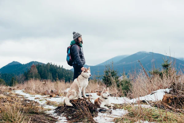 Туристка с сибирскими собаками-хаски в горах, смотрящая на красивый вид — стоковое фото