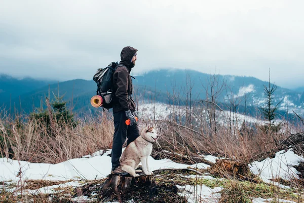 Drumeție cu câine husky siberian uitându-se la o vedere frumoasă în munți — Fotografie, imagine de stoc