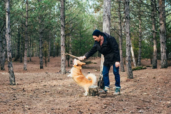 Человек играет с валлийской корги собака в лесу — стоковое фото