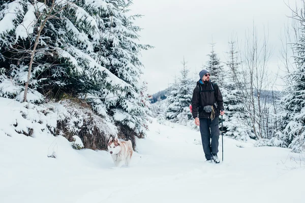 Männlicher Wanderer mit sibirischem Husky-Hund im Gebirge — Stockfoto