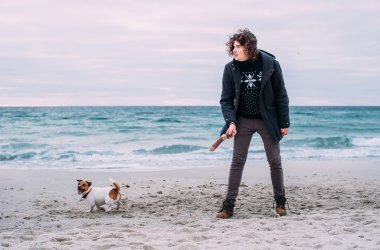 Jack ile oynuyor adam sahilde russel terrier