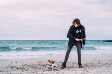 Jack ile oynuyor adam sahilde russel terrier