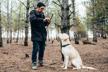 labrador köpek ormanda yürüyen adam