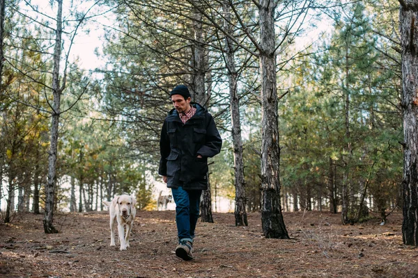 Людина з лабрадорським собакою, що йде в лісі — стокове фото