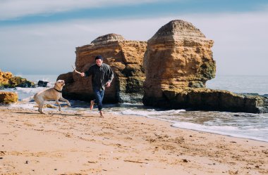 Labrador köpek ile kumsalda oynarken adam
