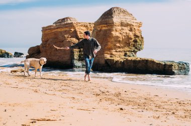 Labrador köpek ile kumsalda oynarken adam
