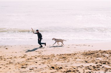 Labrador köpek ile kumsalda oynarken adam