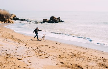 Labrador köpek ile kumsalda oynarken adam
