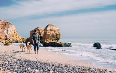 Siberian dış yapraklar ve labrador köpek ile kumsalda yürüyen adam